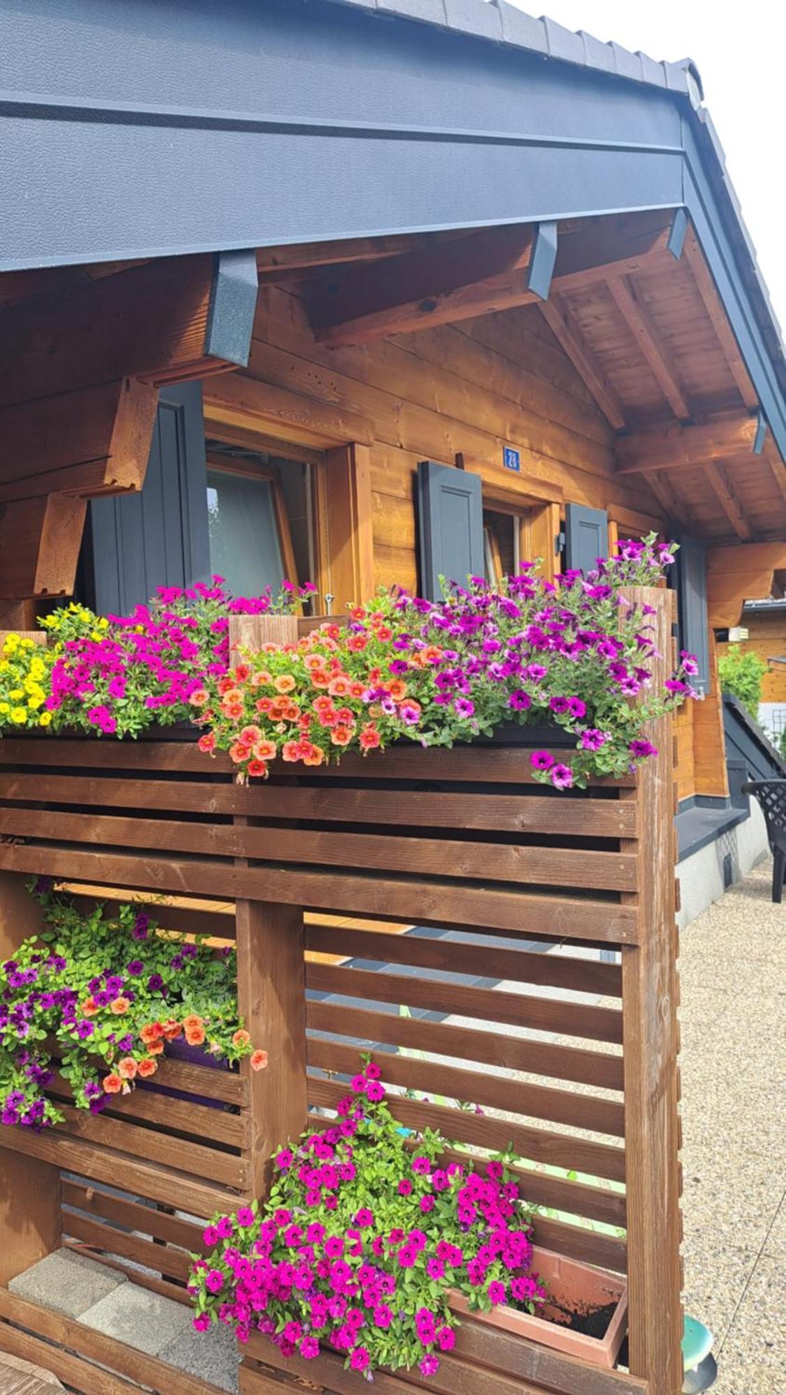 Alt'o Martinets * Nendaz